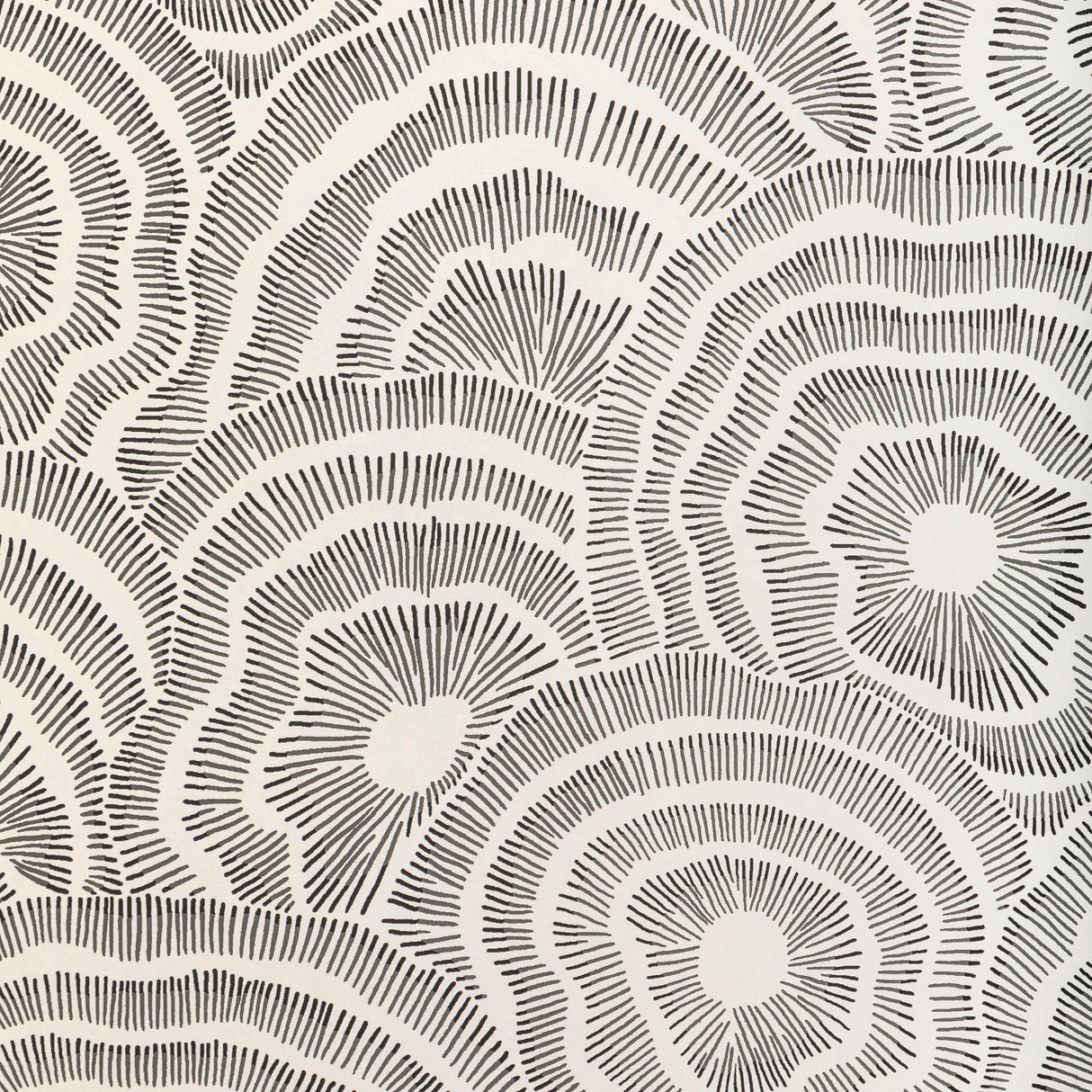 Kravet PANACHE WP NOIR Wallpaper