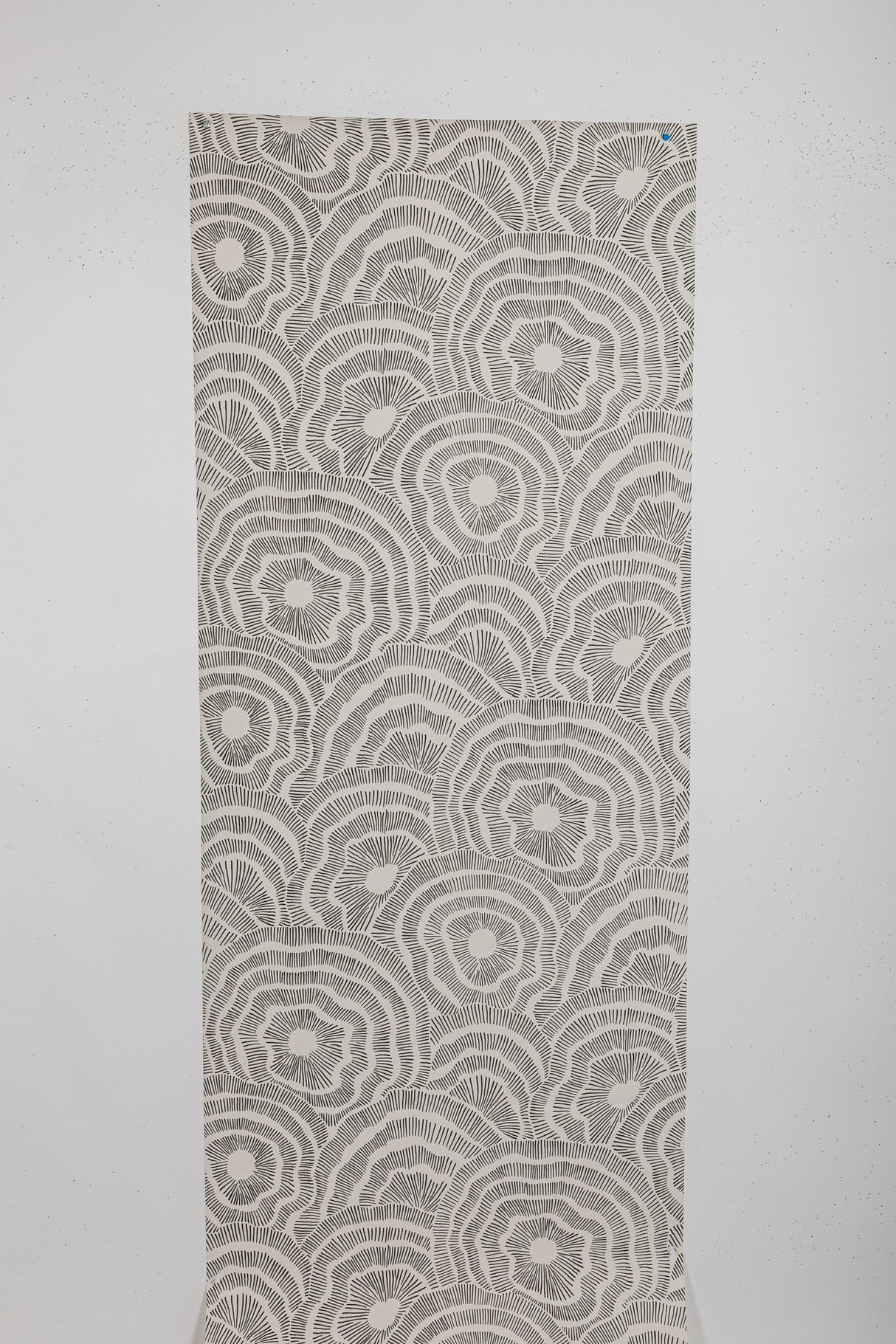 Kravet PANACHE WP NOIR Wallpaper