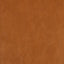 Kravet DESIGN ZENON 6 Upholstery Fabric