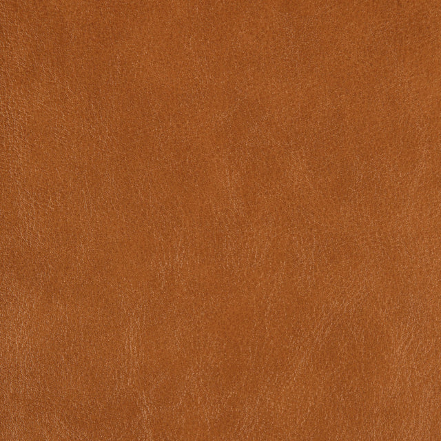 Kravet DESIGN ZENON 6 Upholstery Fabric