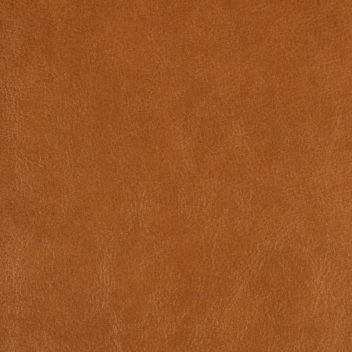 Kravet DESIGN ZENON 6 Upholstery Fabric