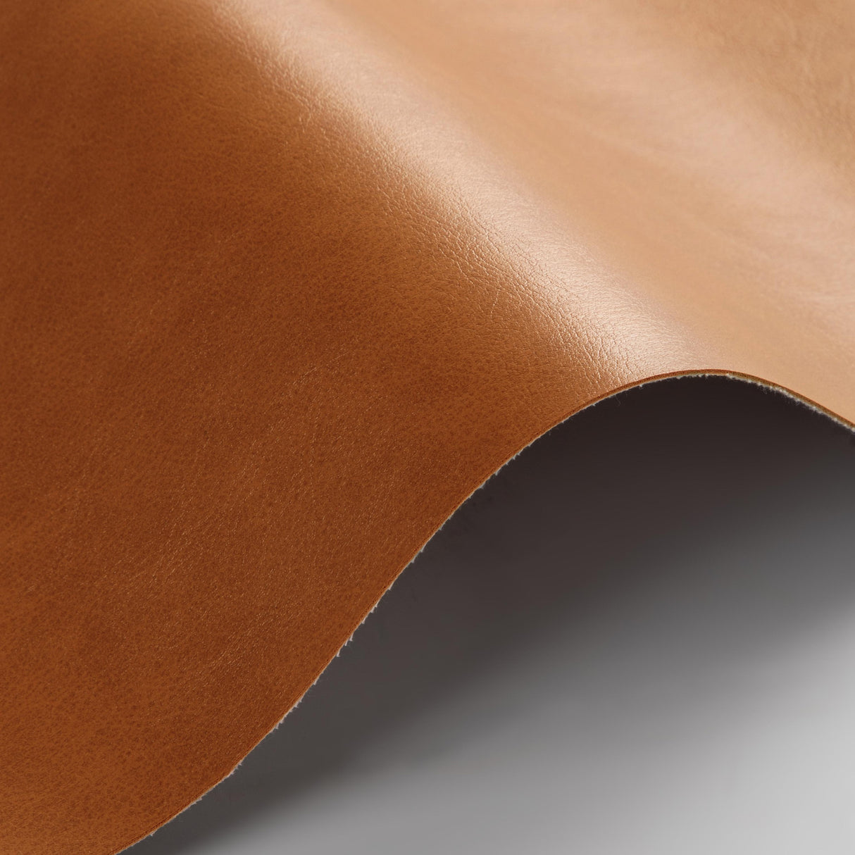Kravet DESIGN ZENON 6 Upholstery Fabric