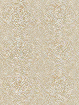 Scalamandre Flurry Caribou Fabric