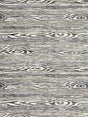 Scalamandre Muir Woods Graphite Fabric