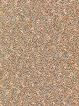 Scalamandre Flurry Fox Fabric