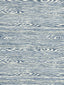 Scalamandre Muir Woods Wedgwood Fabric