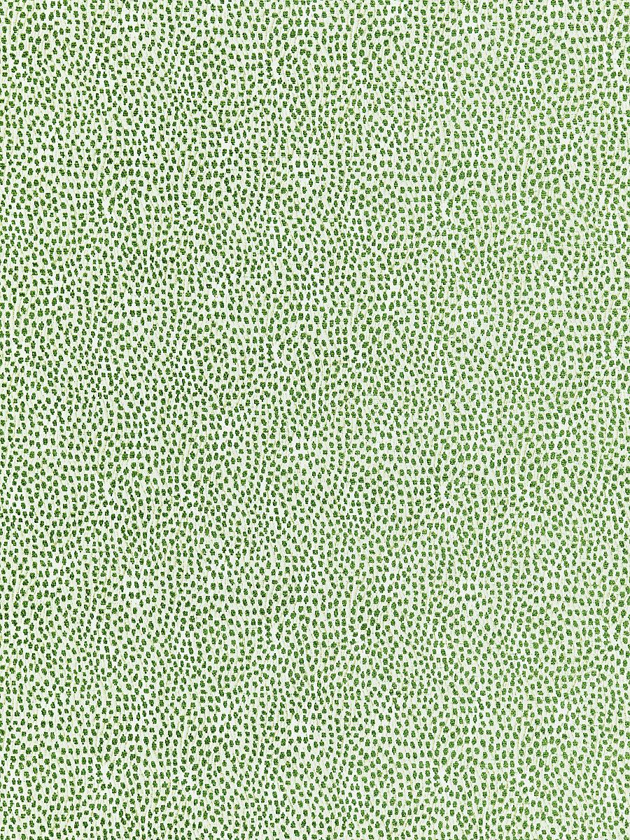 Scalamandre Flurry Leaf Fabric