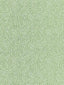 Scalamandre Flurry Leaf Fabric