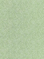 Scalamandre Flurry Leaf Fabric