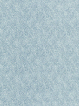 Scalamandre Flurry Ciel Fabric