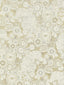 Scalamandre Siberian Tiger White Tawny Fabric