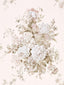 Scalamandre Sybilla Bouquet Rose Quartz Fabric