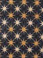 Hinson Star Power Charcoal Fabric