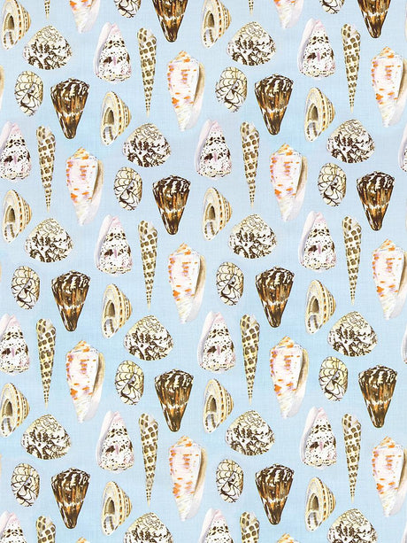 Scalamandre Coquina Linen Print Multi On Sea Blue Fabric