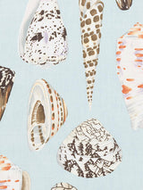 Scalamandre Coquina Linen Print Multi On Sea Blue Fabric
