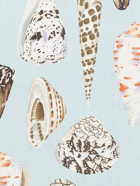 Scalamandre Coquina Linen Print Multi On Sea Blue Fabric