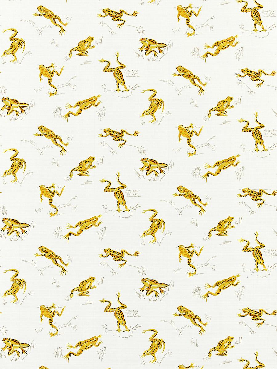 Scalamandre Calabasas County | Outdoor Pineapple Fabric