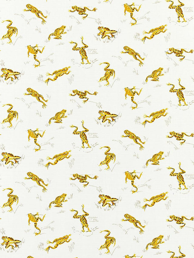 Scalamandre Calabasas County | Outdoor Pineapple Fabric