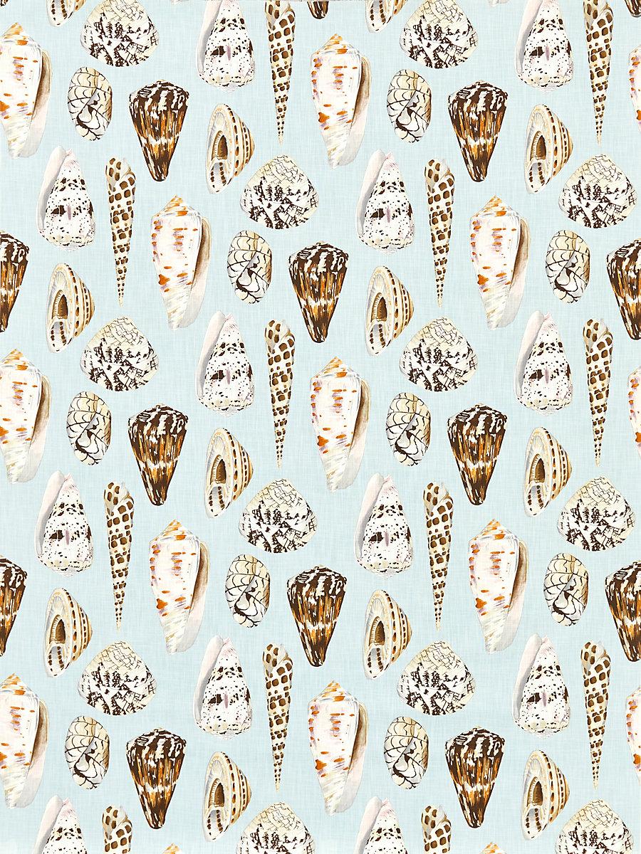 Scalamandre Coquina | Outdoor Multi On Sea Blue Fabric