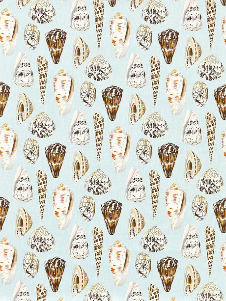 Scalamandre Coquina | Outdoor Multi On Sea Blue Fabric