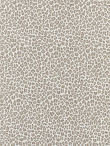 Scalamandre Backyard Bengal Limestone Fabric