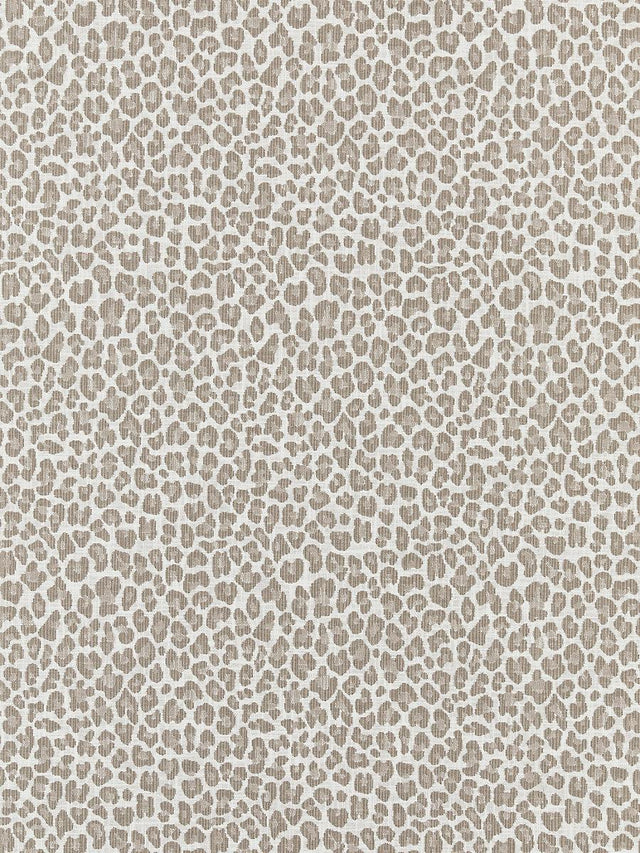 Scalamandre Backyard Bengal Limestone Fabric