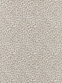 Scalamandre Backyard Bengal Limestone Fabric