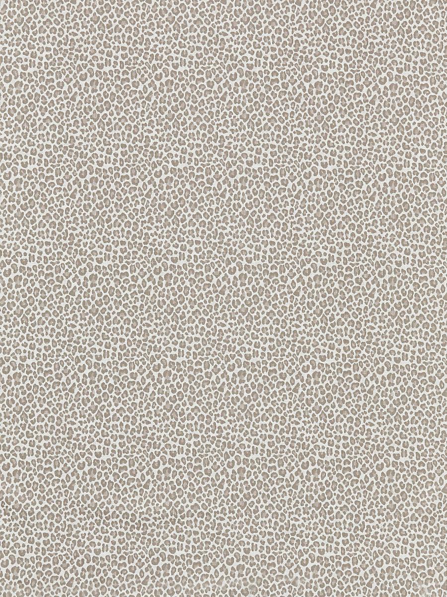 Scalamandre Backyard Bengal Limestone Fabric