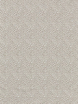 Scalamandre Backyard Bengal Limestone Fabric