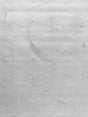 Scalamandre Silver Leaf Silver Metal Wallpaper