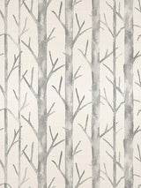 Scalamandre Everett | Silk Shadow Wallpaper