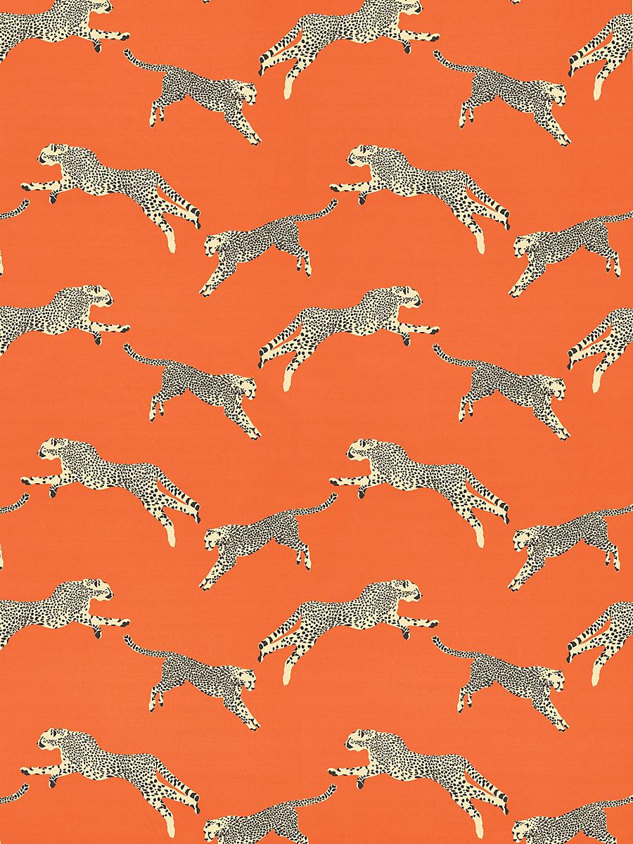 Scalamandre Leaping Cheetah Cotton Print Clementine Fabric