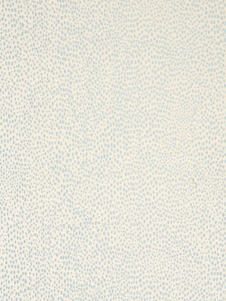 Scalamandre Raindrop Mineral Fabric