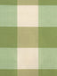 Scalamandre Woodland Check Green & Ivory Fabric