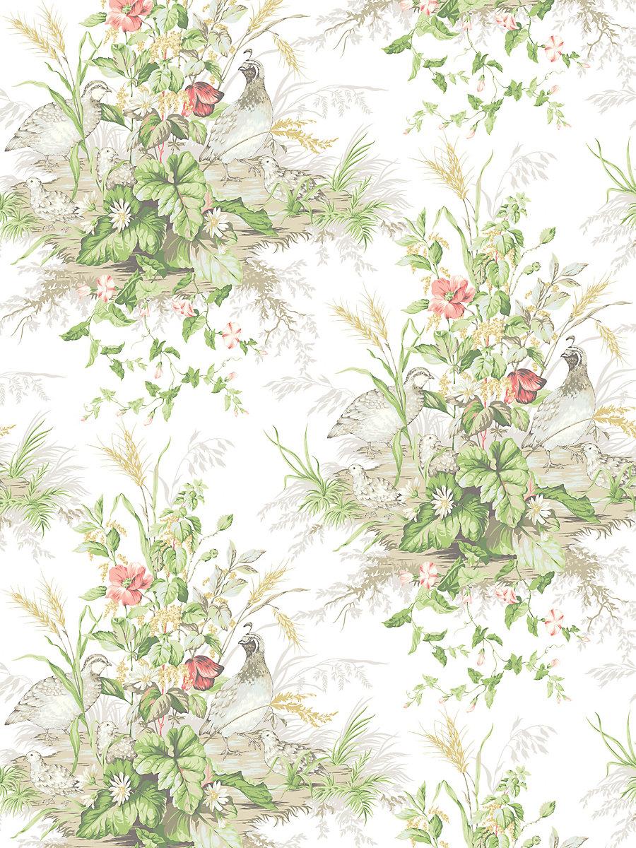 Scalamandre Edwin'S Covey Prairie Wallpaper