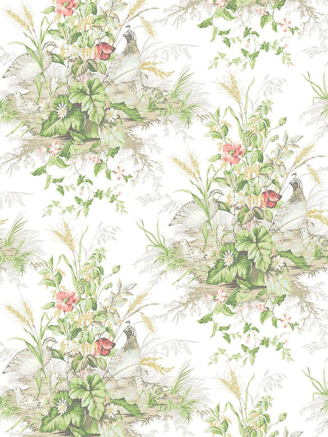 Scalamandre Edwin'S Covey Prairie Wallpaper