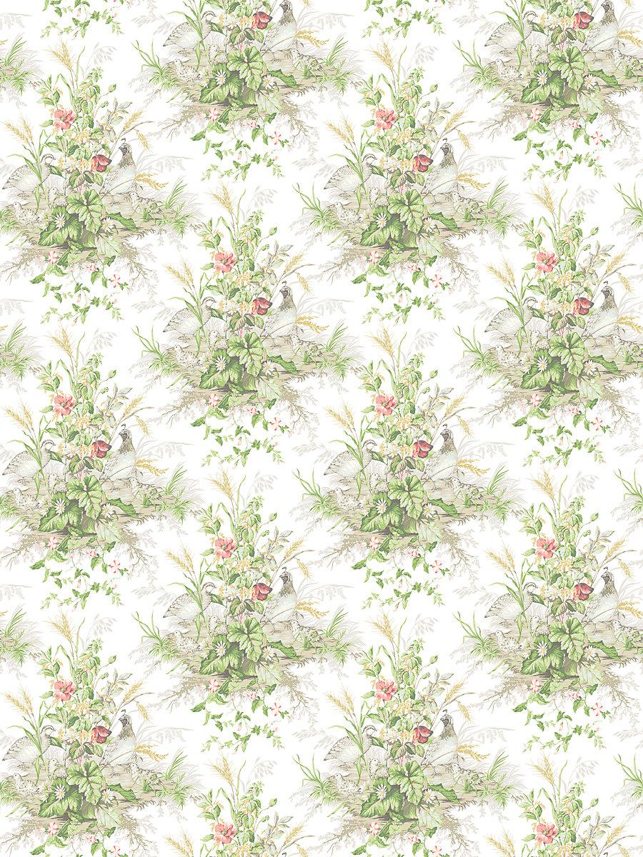 Scalamandre Edwin'S Covey Prairie Wallpaper