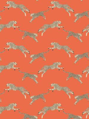 Scalamandre Leaping Cheetah Clementine Wallpaper