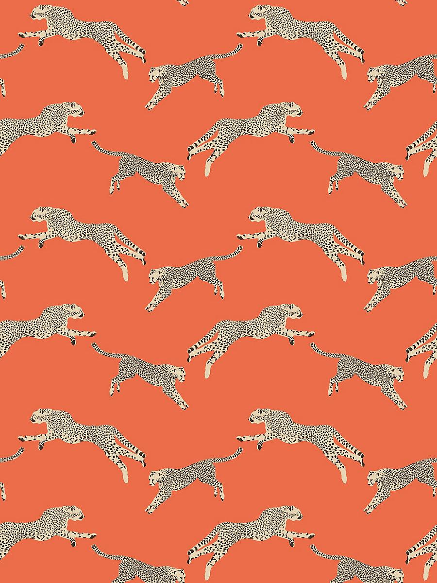 Scalamandre Leaping Cheetah Clementine Wallpaper