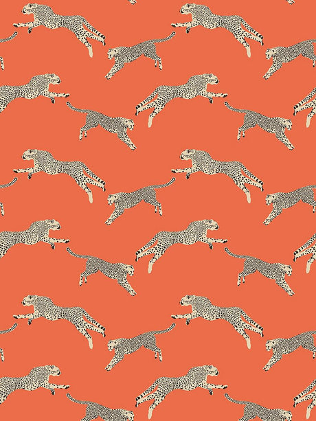 Scalamandre Leaping Cheetah Clementine Wallpaper