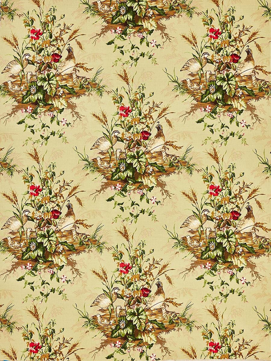 Scalamandre Edwin'S Covey Linen Print Multi On Willow Fabric