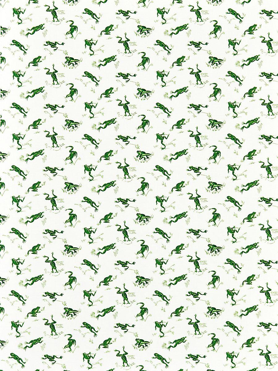 Scalamandre Calabasas County | Outdoor Snap Pea Fabric