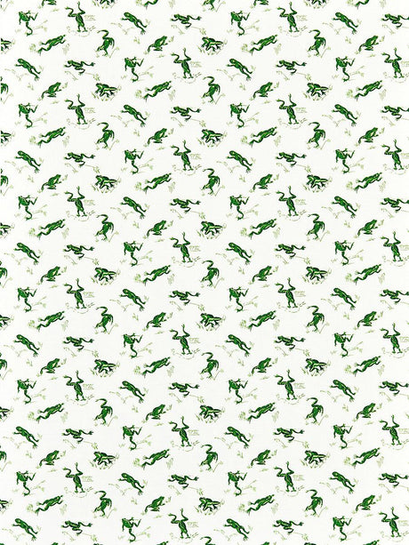 Scalamandre Calabasas County | Outdoor Snap Pea Fabric