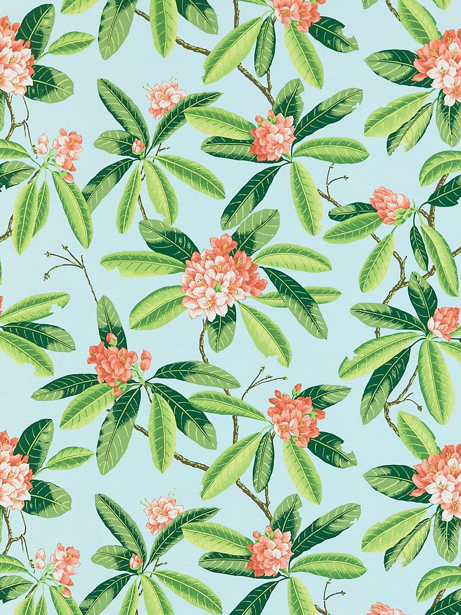 Scalamandre Rhododendron | Outdoor Coral On Aqua Fabric