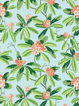 Scalamandre Rhododendron | Outdoor Coral On Aqua Fabric