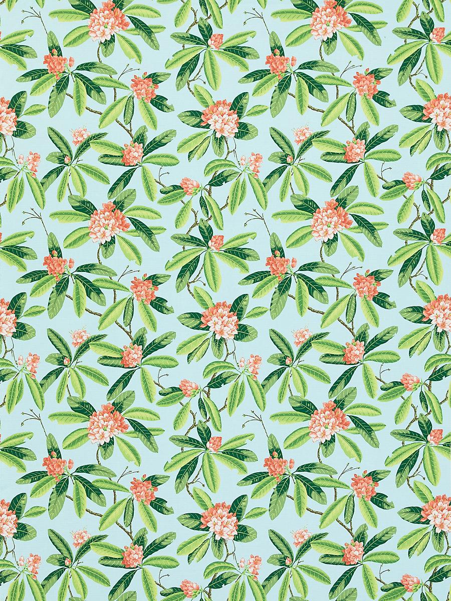 Scalamandre Rhododendron | Outdoor Coral On Aqua Fabric