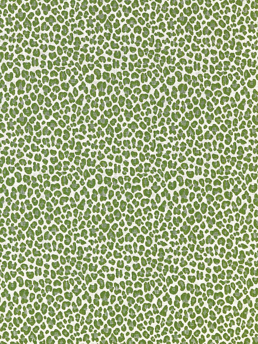 Scalamandre Backyard Bengal Ivy Fabric