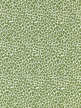 Scalamandre Backyard Bengal Ivy Fabric