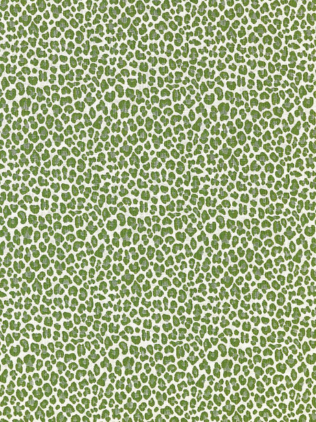 Scalamandre Backyard Bengal Ivy Fabric