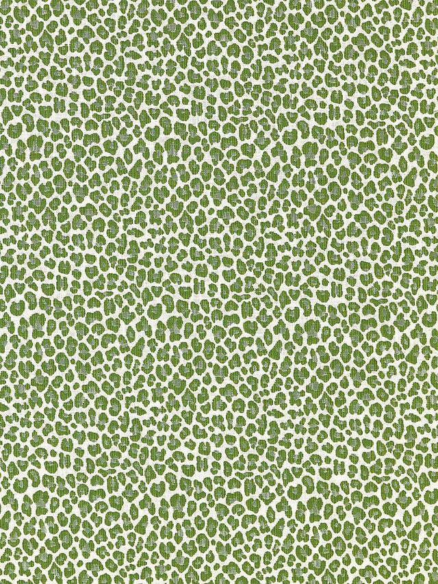 Scalamandre Backyard Bengal Ivy Fabric